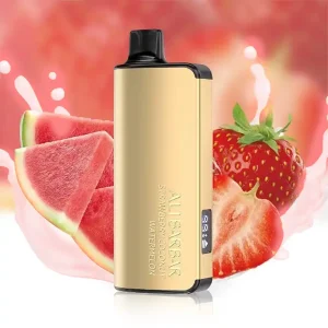 Home Alibarbar Ingot 9000 Puffs Strawberry Watermelon
