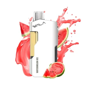 Home alibarbar ingot 9000 puffs peach ice
