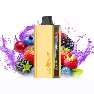 Home JNR Cruiser 12000 mixed berry